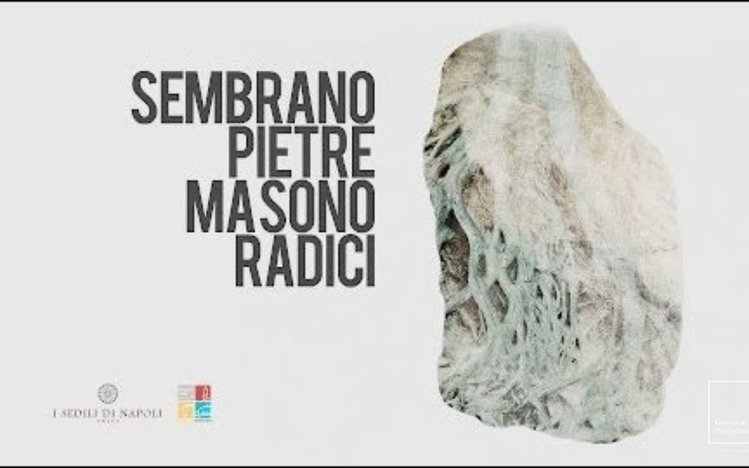 Sembrano pietre ma sono radici – Edizione 2017